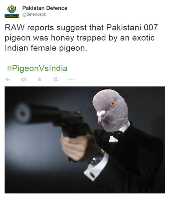 _83365798_pigeonmeme3.png