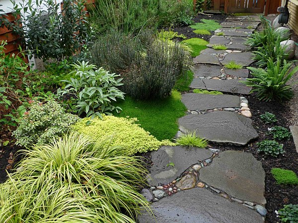 garden-stone-walkway-with-plants.jpg