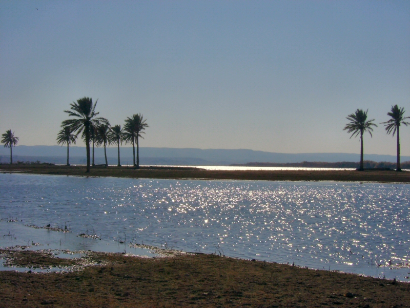 The_Euphrates_River-Iraq.jpg