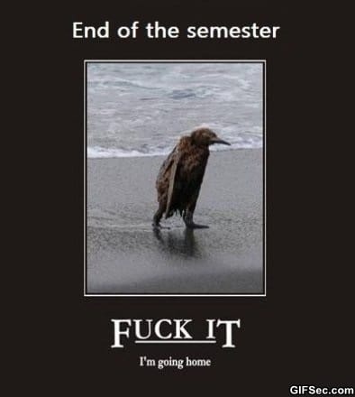 End-of-semester.jpg