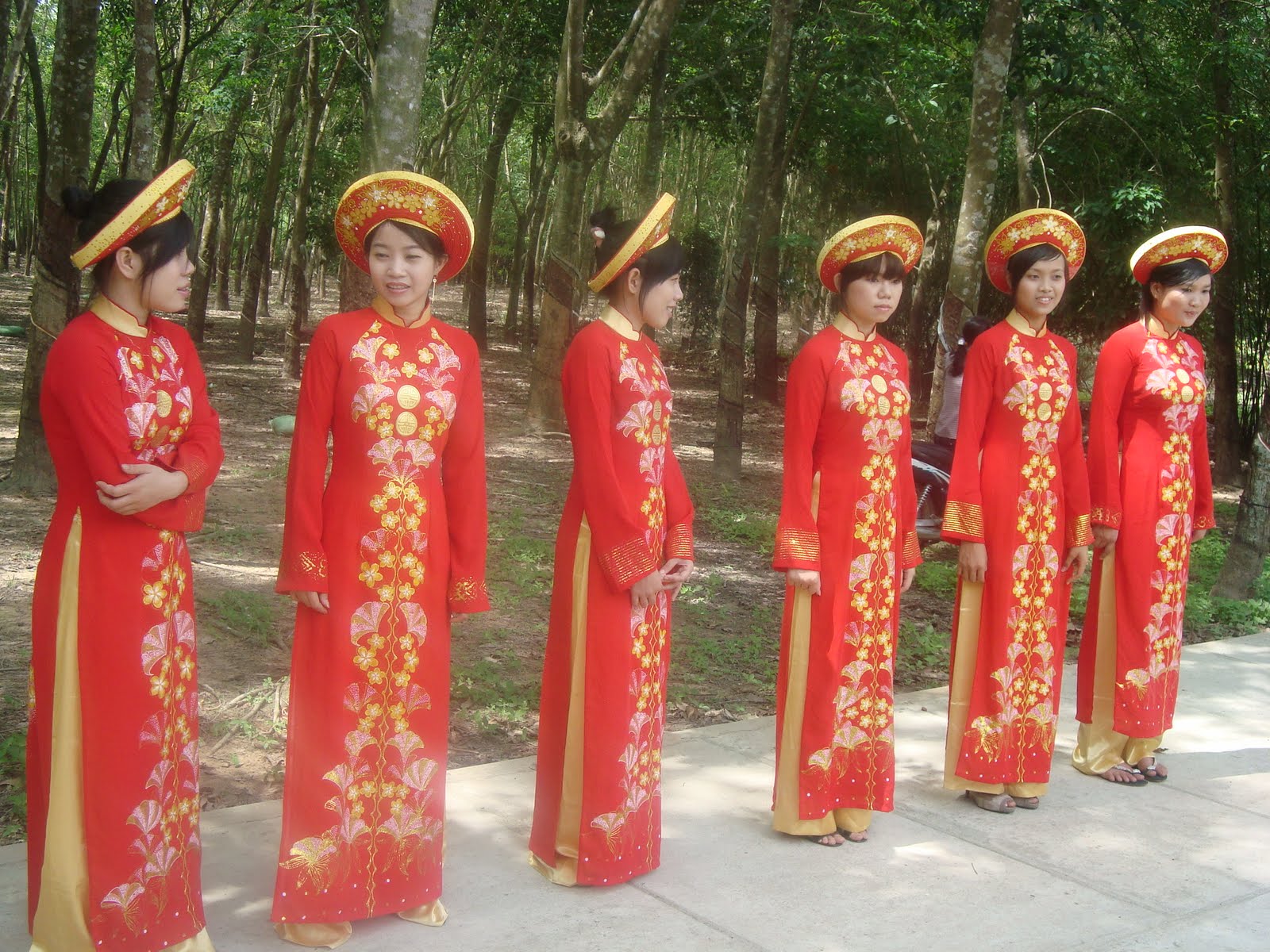 girl_in_vietnam_dress_ao_dai.JPG