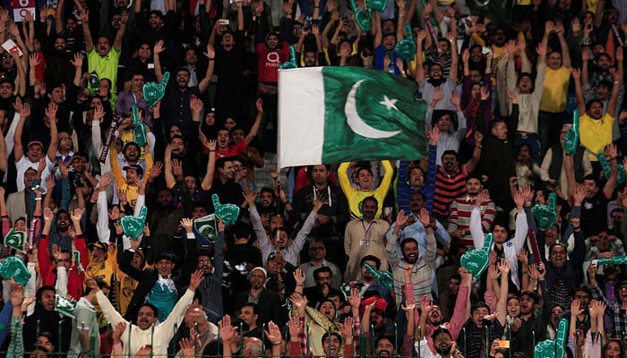 486935_1904354_Pakistan-fans_updates.jpg