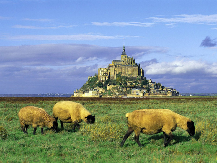 France_Mont-Saint-Michel-view_5845.jpg