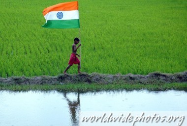 indian-flag-india-18368925-380-257.jpg