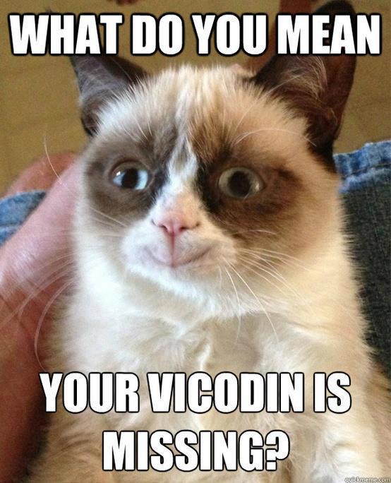 grumpy-cat-vicodin-meme-smiling-happy.jpg