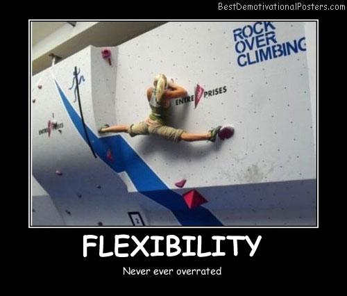 Perfect-Flexibility-Best-Demotivational-Posters.jpg