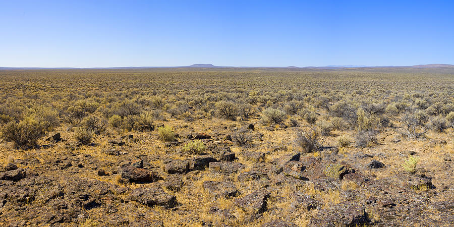nevada-desert-panorama-mark-greenberg.jpg