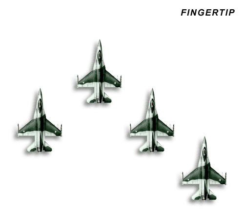 fingertip_formation.jpg