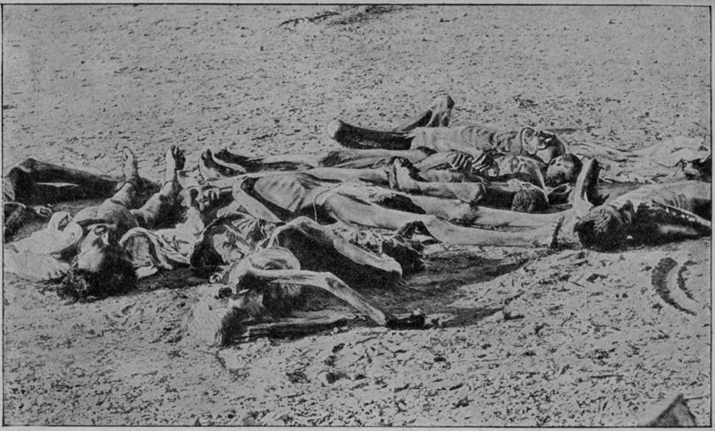 800px-v-m-_doroshevich-east_and_war-british_india-_corpses_of_famine_victims.png