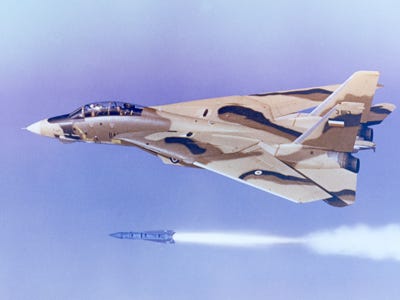 the-f-14-tomcat.jpg