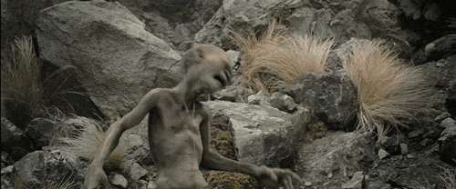 Zw97w.gif