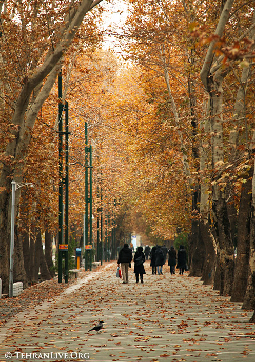 festival_of_colors_tehran_4.jpg