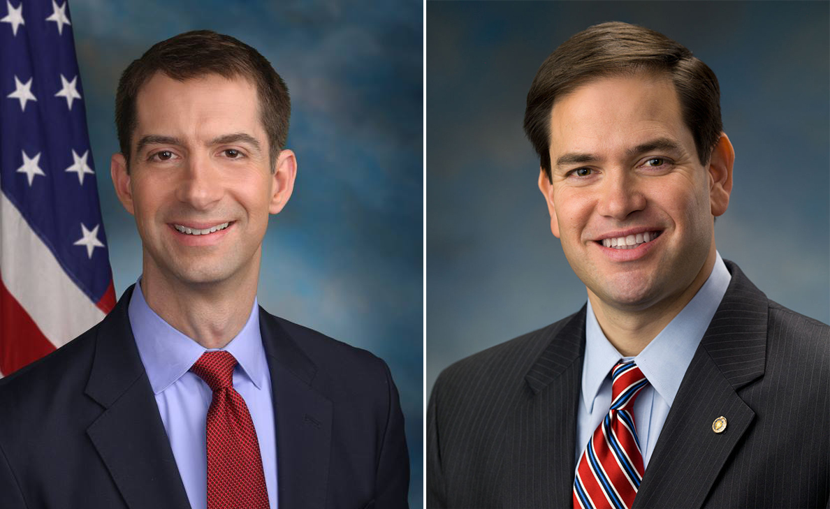 Cotton-Rubio.jpg