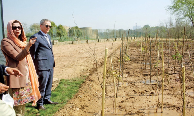 Minister of State for Climate Change Zartaj Gul gestures after inaugurating the Miyawaki forest in F-9 Park on Wednesday. Australian High Commissioner Dr Geoffrey Shaw is also present. — White Star