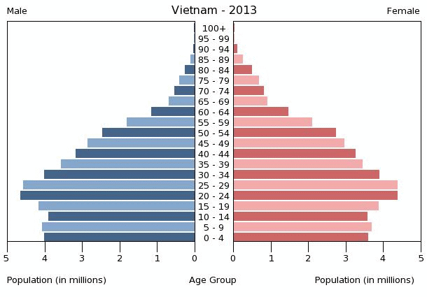 vietnam-population-pyramid-2013.gif