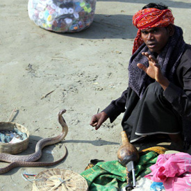 snake-charmer-in-india.jpg