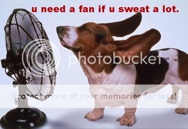 fanDog.jpg