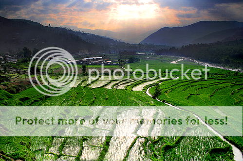 Gilgit_ricefields___Pakistan_by_Kar.png