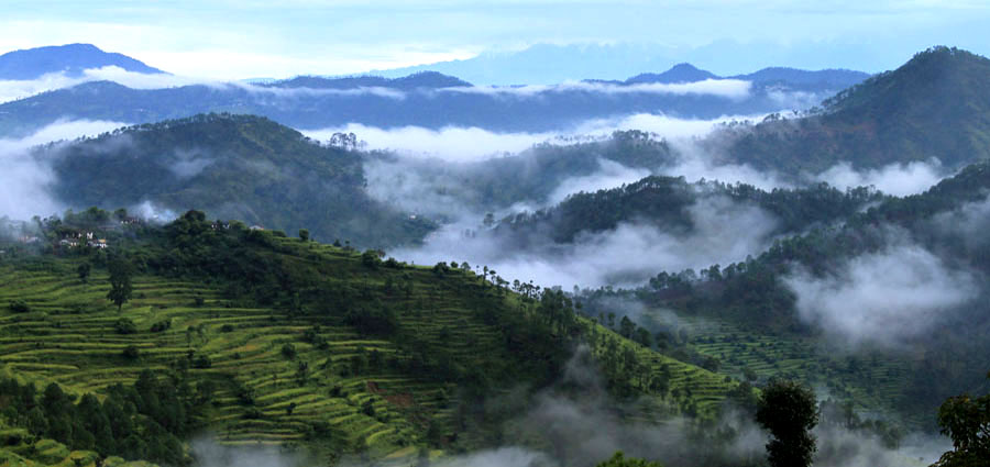 Himalayan-resort-terraced-fields.jpg