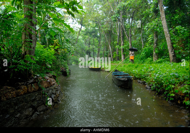 monsoon-in-kerala-ahmdm6.jpg