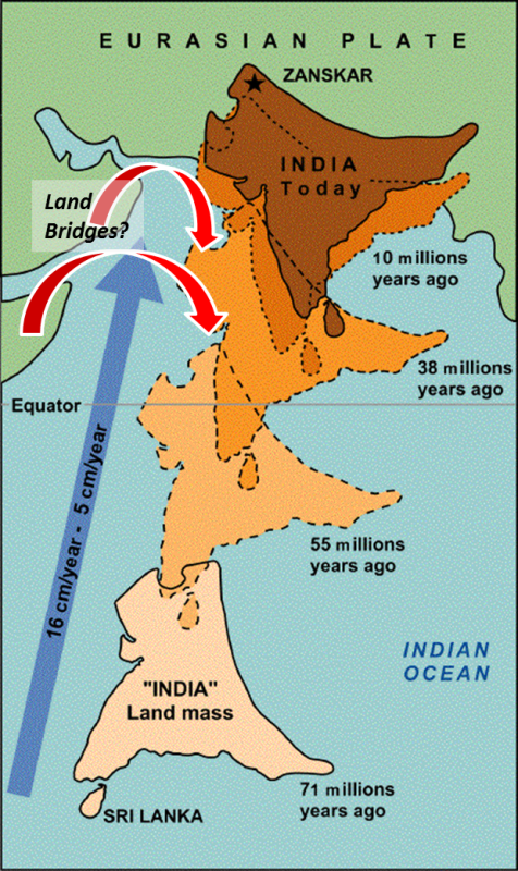 indian-plate-tectonics-after-wikipedia.png