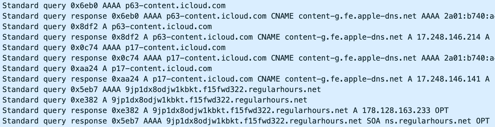 Screenshot of a 19 July packet capture from Almisshal’s phone showing DNS lookups for iCloud Partitions immediately before a lookup for a Pegasus Installation Server.