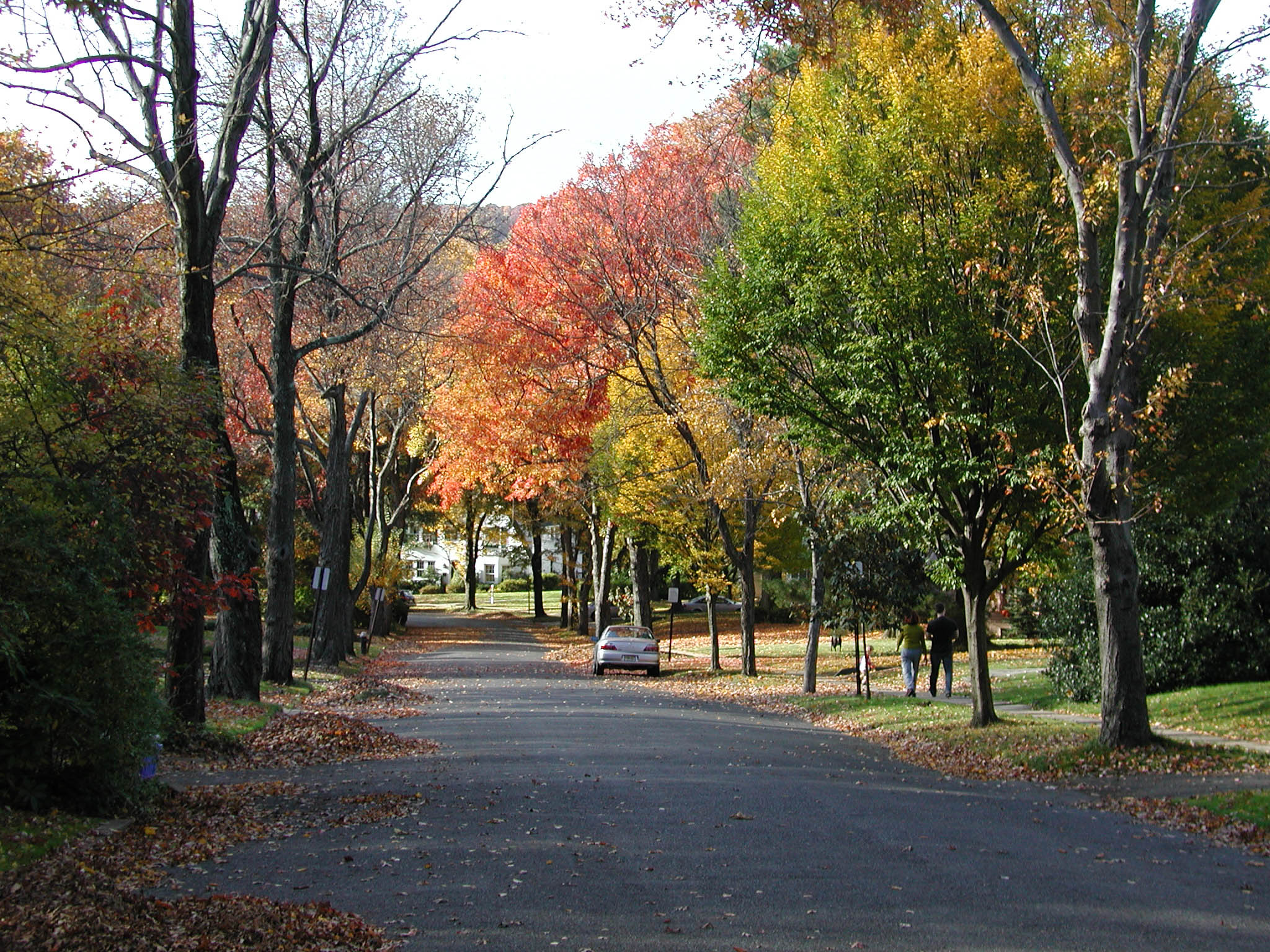 Maplewood_NJ_during_fall_foliage.jpg