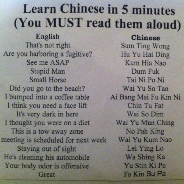 d90b8d85a143d8dd96791ef2d723a9a7--how-to-learn-chinese-freaking-hilarious.jpg