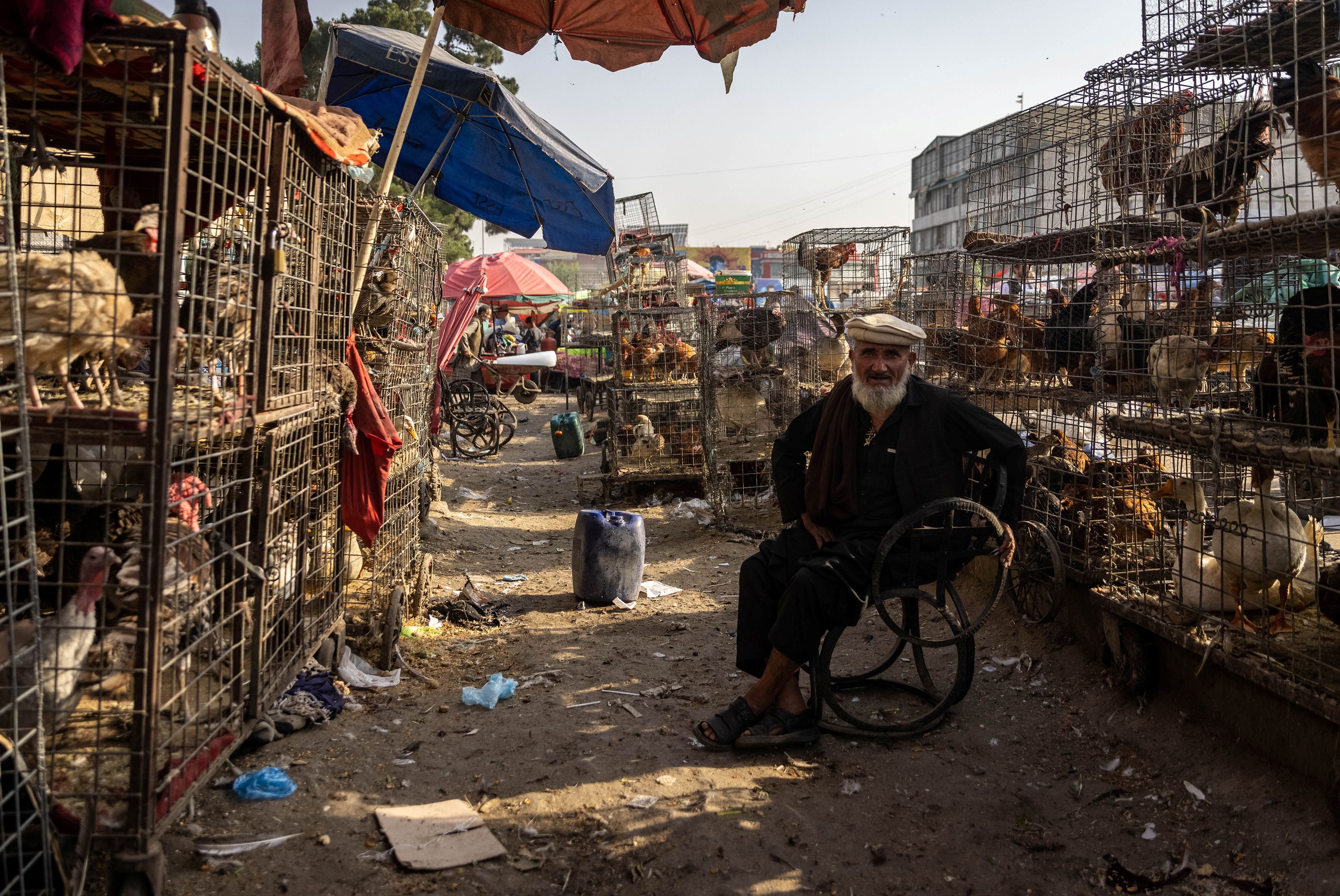 A man selling chicken and ducks at a market along the road in Kabul