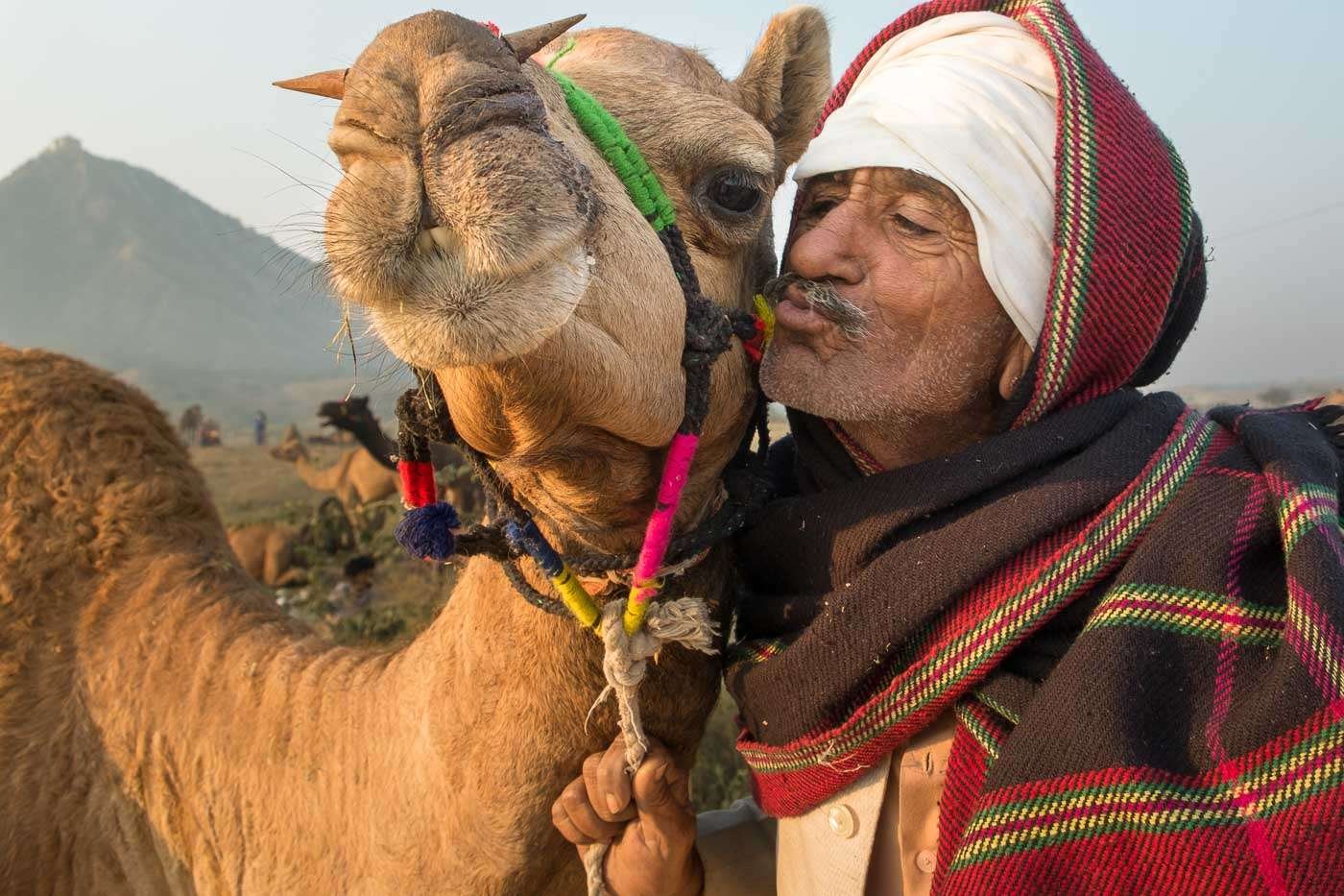 india-rajasthan-pushkar-6162-1.jpg