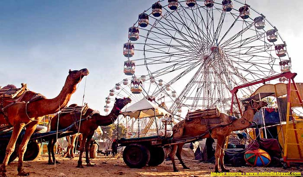 pushkar-fair2.jpg