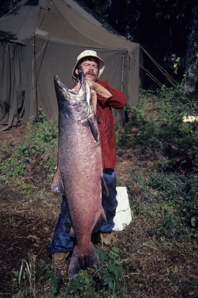 huge-salmon+king+chinook+alaska+big+huge+world+record+largest+igfa+gigante+pesce+biggest+fishes+fish+of+the+world+pesce+enorme+gigante+big+fishes+of+the+ocean+of+the+sea+big+fish+of+the+world+best+images+monster+.JPG