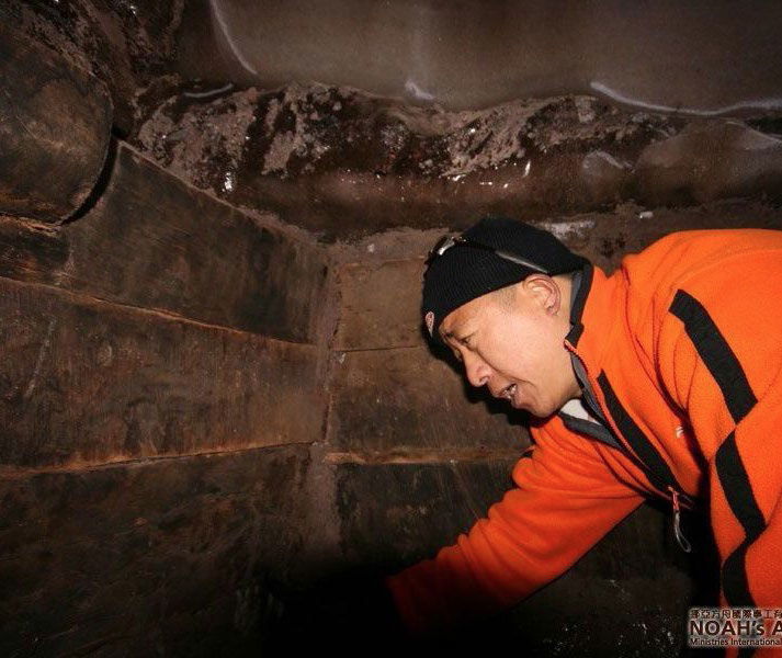 ark-interior.jpg