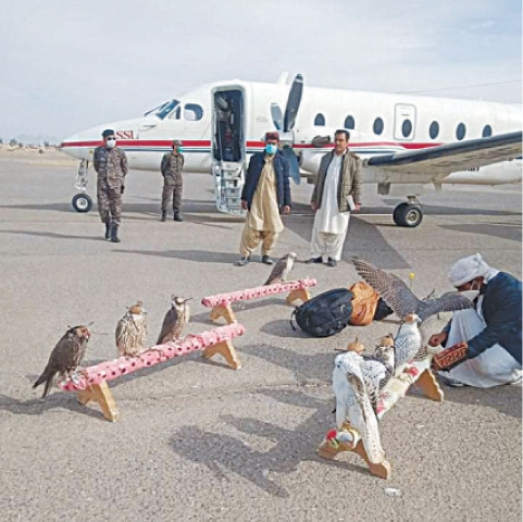 A member of the UAE’s royal family is seen with falcons at Dalbandin Airport.—Dawn