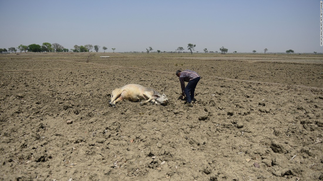 160505102829-gettyimages-522830218india-drought-super-169.jpg