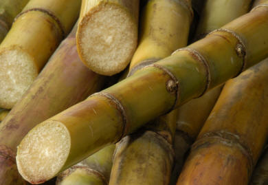 sugarcane-price-issue.jpg