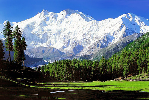 nanga-parbat2.jpg