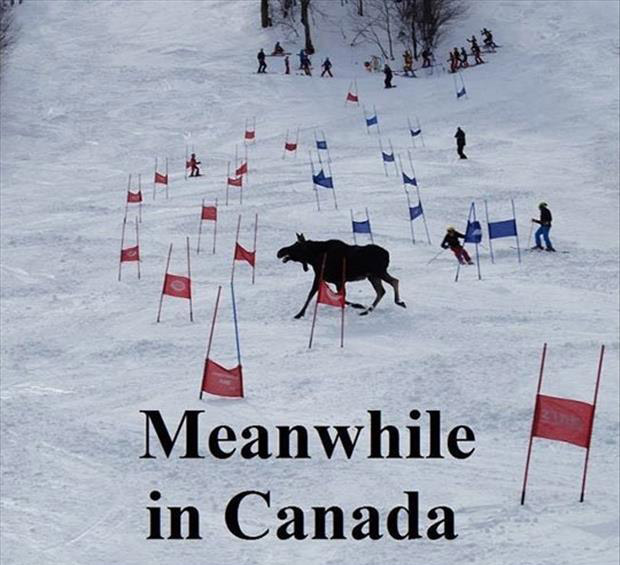 a-meanwhile-in-canada.jpg