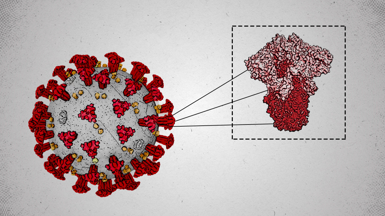 The Science Behind Why New Covid Variants Are Spreading Faster