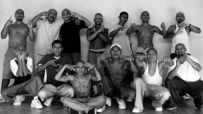 ms-13.jpg