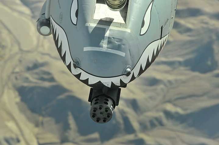 A-10-nose-web-lr.jpg