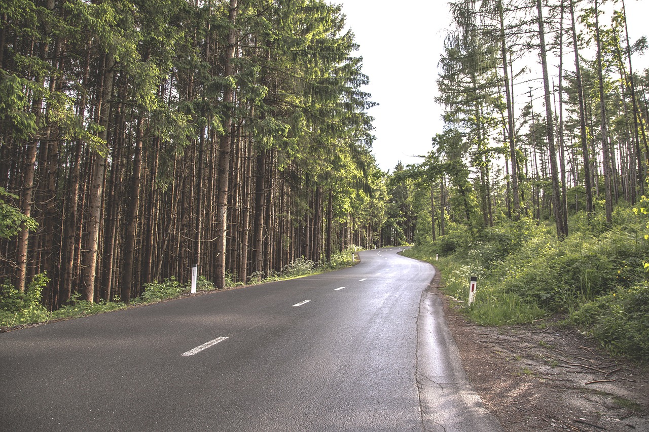 forest-roads-finland.jpg