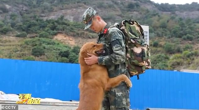 This is the emotional moment a military dog, a three-year-old golden retriever named Da Mao, refused to let its handler leave as the officer retired in China after spending two years together