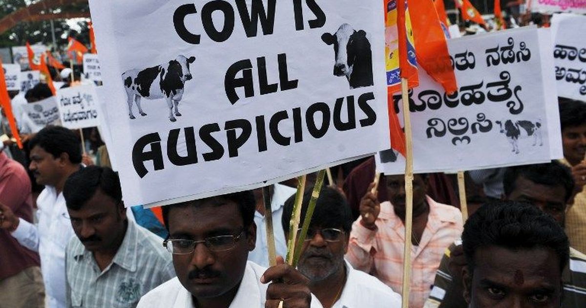 An Indic dilemma: Should you be drinking cow urine?