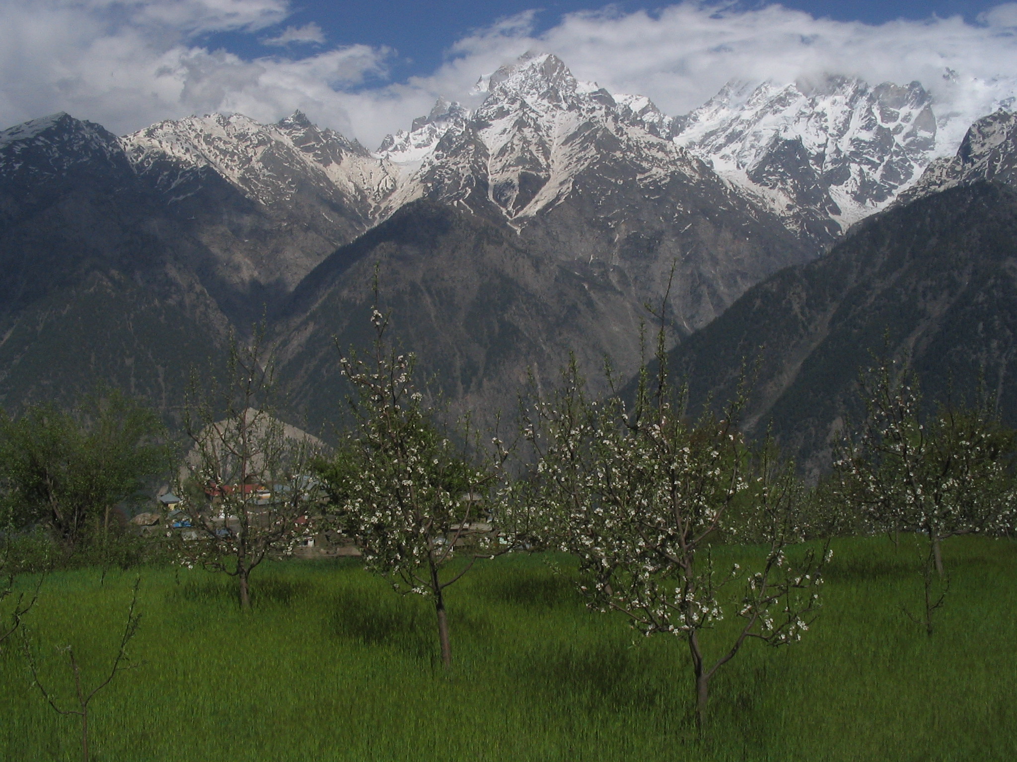 Kalpa_Himachal.jpg