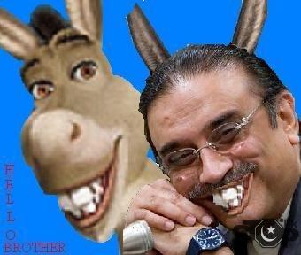 sabeenn-zardari-donkey-3_500.jpg