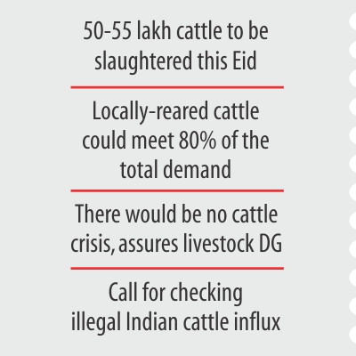 cattle_market_1.jpg