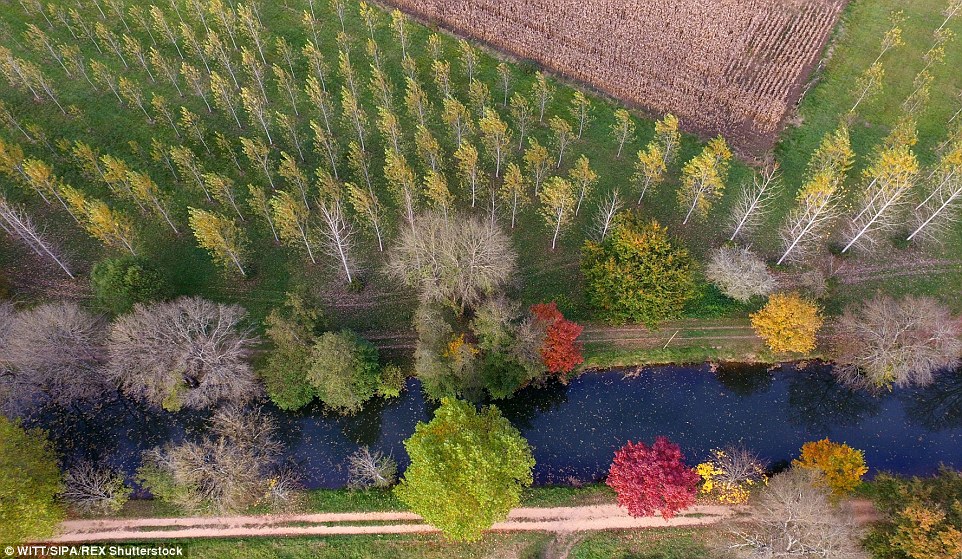 Lithuania-autmun-drone-footage-0.jpg