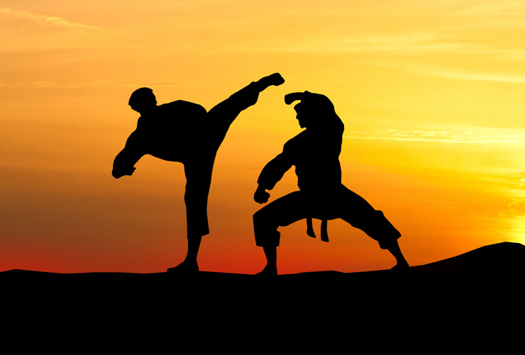 Kalaripayattu, The Ancient Indian Martial Art That Birthed Kung Fu 