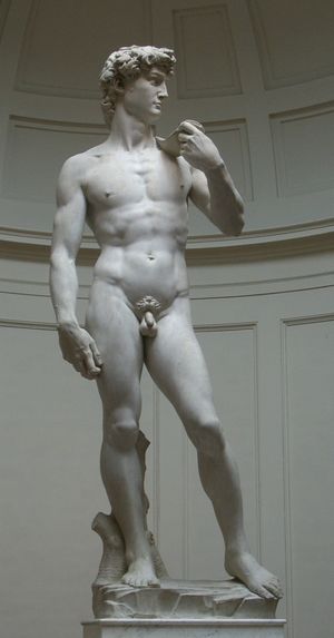 300px-David_von_Michelangelo.jpg